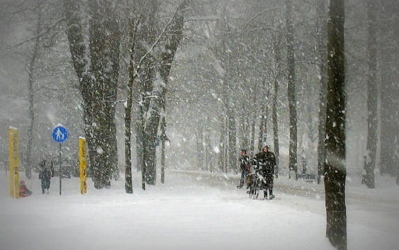 Снежно невреме во Чешка, Полска и Словачка