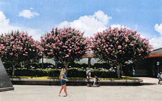 Општина Центар одвои повеќе од 12 милиони денари за проектот „За зелен Центар“