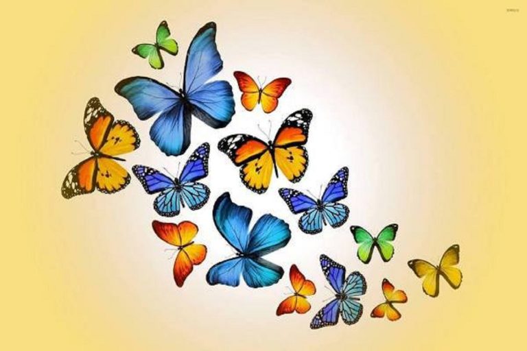 ЛИКОВЕН ХЕПЕНИНГ ВО ЧИФТЕ АМАМ