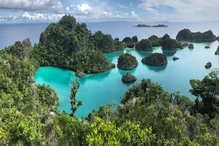 РАЏА АМПАТ- РАЈОТ НА МОРСКИОТ ЖИВОТ (ВИДЕО)