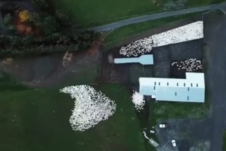 ВИДЕО: ВИСТИНАТА ЗА МАКЕДОНСКАТА ПОЛИТИЧКА РЕАЛНОСТ