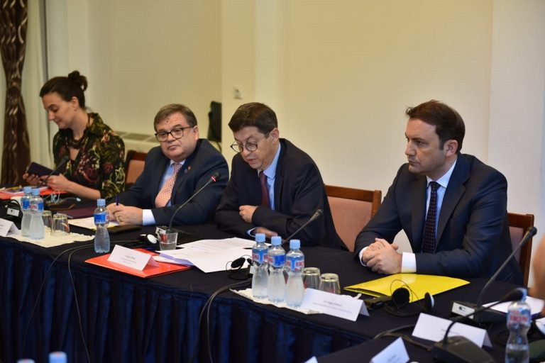 ОСМАНИ: ФРАНЦИЈА СИЛНО ГИ ПОДДРЖУВА ЕВРОПСКИТЕ ИНТЕГРАЦИИ НА ЗЕМЈАВА