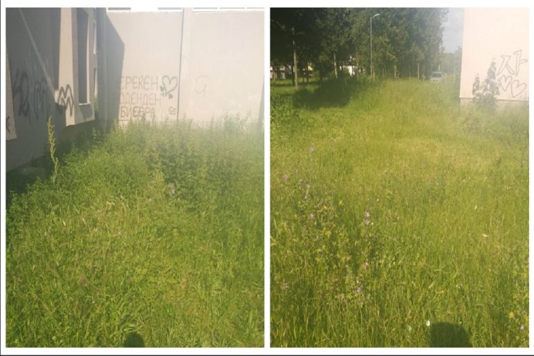 ГДУ БУТЕЛ: КОГА ЌЕ БИДЕ УРЕДЕН КАКО ШТО ДОЛИКУВА УЧИЛИШНИОТ ДВОР НА ОУ „СВ. КЛИМЕНТ ОХРИДСКИ“?