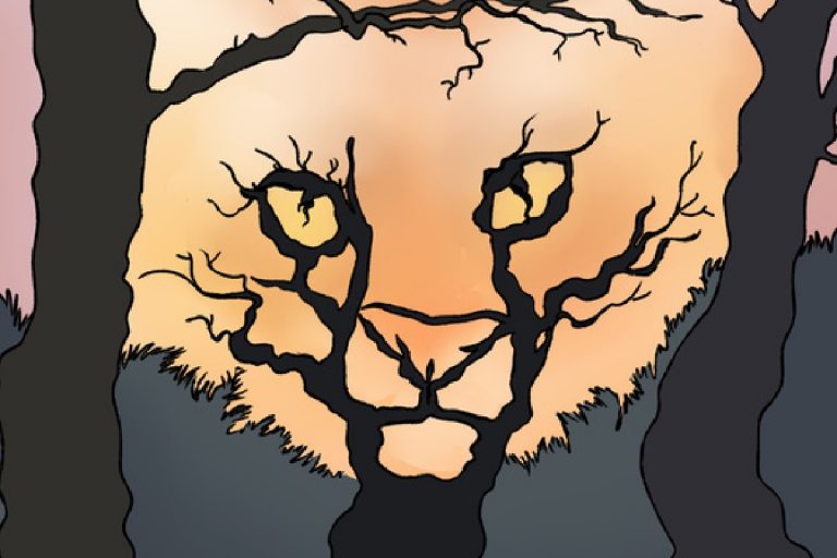 ТЕСТ: ШТО ВИДОВТЕ НАЈПРВО НА СЛИКАТА?