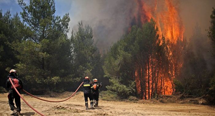 Во Беровско се уште активен пожарот кај месноста Грбавец помеѓу селата Митрашинци и Будинарци