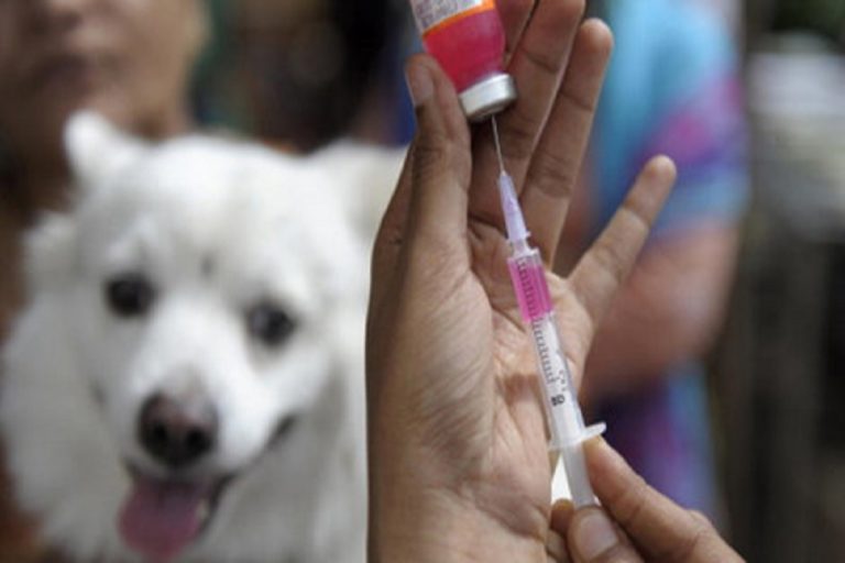 ВО БИХ СЕ ПОЈАВИ СМРТОНОСНО БЕСНИЛО