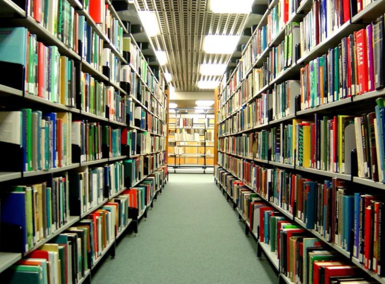 ПОВЕЌЕ ПИЕМЕ И СЕ КОЦКАМЕ ОТКОЛКУ ШТО ЧИТАМЕ КНИГИ