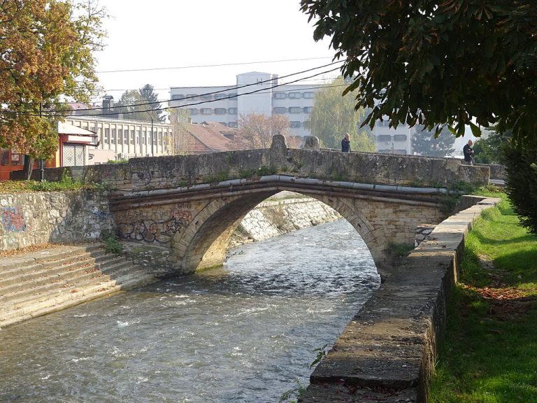 Десет години малолетнички затвор за 17-годишната девојка што уби момче и го турна во реката Пена