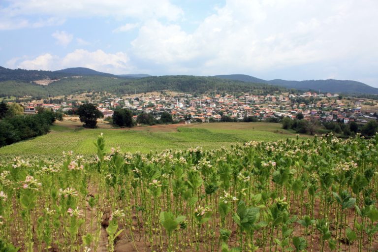 Рахим Арнаудов: Зачувувањето на традициите е вистинското богатство за децата од село Долно Дрјаново