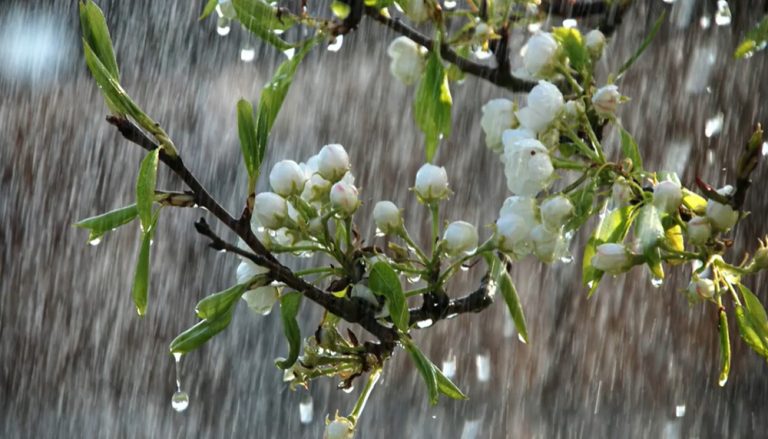 Времето денес врнежливо, на планините со снег