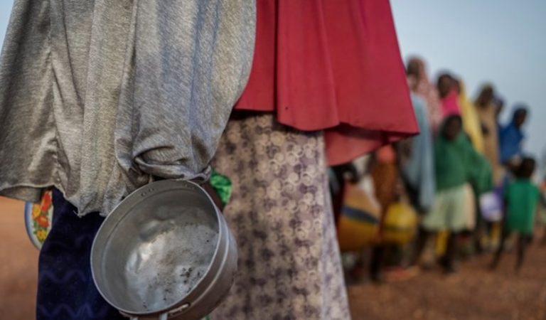 ОН: Околу 48 милиони луѓе во Африка се соочуваат со глад и недостаток на храна