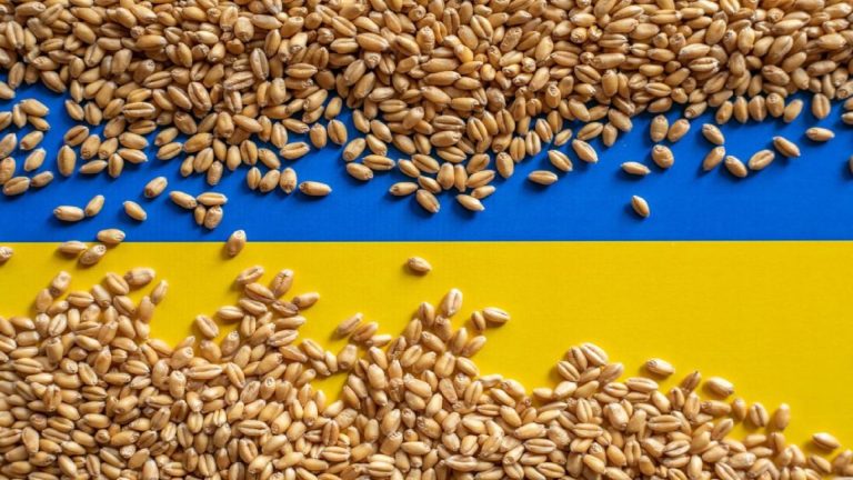 ЕУ се мачи да го ублажи силниот отпор кон украинското жито