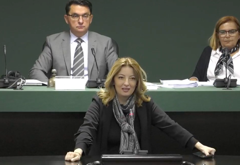 (Видео) Божиновска: Скопје е во хаос, ВМРО-ДПМНЕ да закаже вонредна седница на Советот