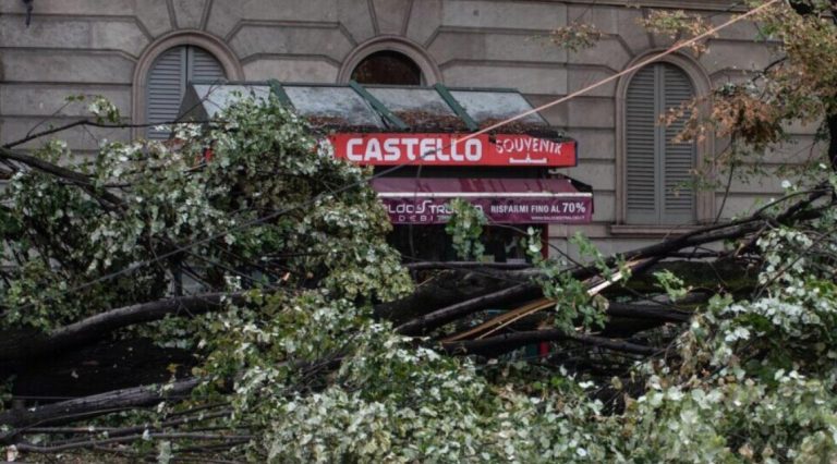 (Видео) Пожари и невреме во Италија: во Милано ветер собори дрвја и откорна покриви, има загинати