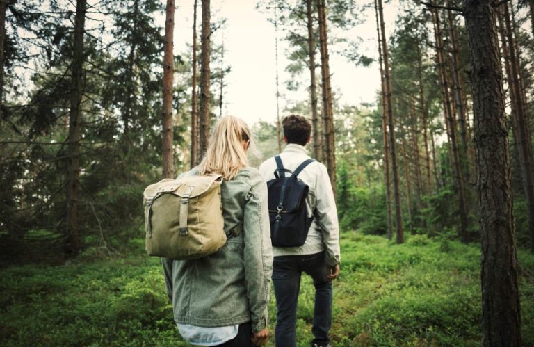 Глоби до 2.000 евра за лица што се движат низ шуми и покрај забраната