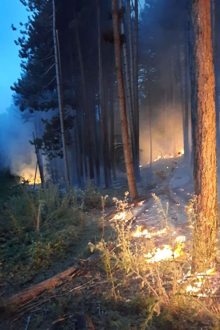 Пожар на Галичица пријавен утрово: Огнот е изгаснат, но локацијата ќе се набљудува