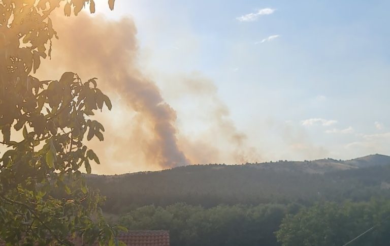 Силен пожар во скопски Илинден, од ЦУК велат дека се шири многу брзо
