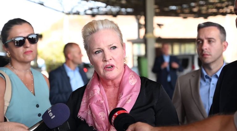 Агелер: Граѓаните да им дадат до знаење на политичарите дека сакаат да бидат дел од ЕУ, не е мое да зборам за уставните измени