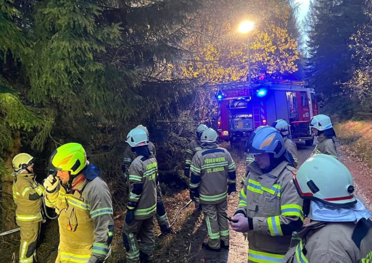 Во Австрија се сруши авион кој полетал од Загреб, има загинати