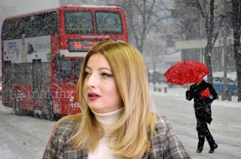 (Документи) Приватна фирма ќе го чисти снегот во Скопје за 65 милиони денари