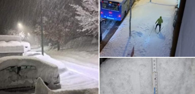 Снегот ја парализира Германија – откажани летови, луѓе ја поминаа ноќта во возови