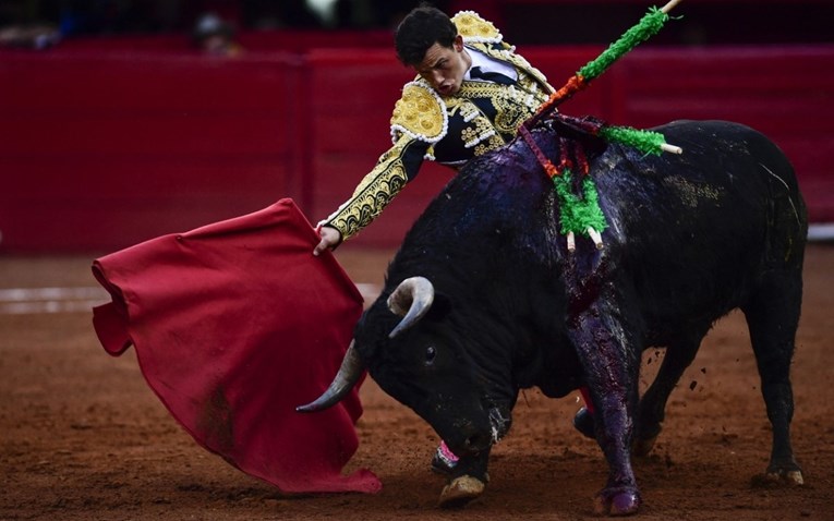 Мексиканскиот суд ја укина забраната, борбите со бикови се враќаат на најголемата светска арена