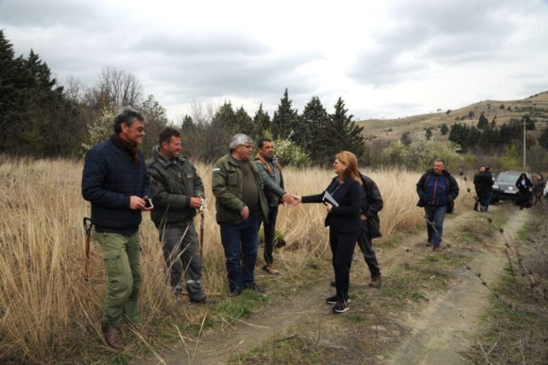 Шукова: Ќе се изработува Закон за заштита на почвите, пошумувањето еден од најдобрите и најдржливи начини на заштита на почвите