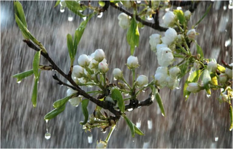 Од утревечер дожд и опаѓање на температурите