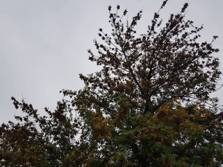 Променливо облачно со повремени врнежи од дожд, а на планините со повремен снег