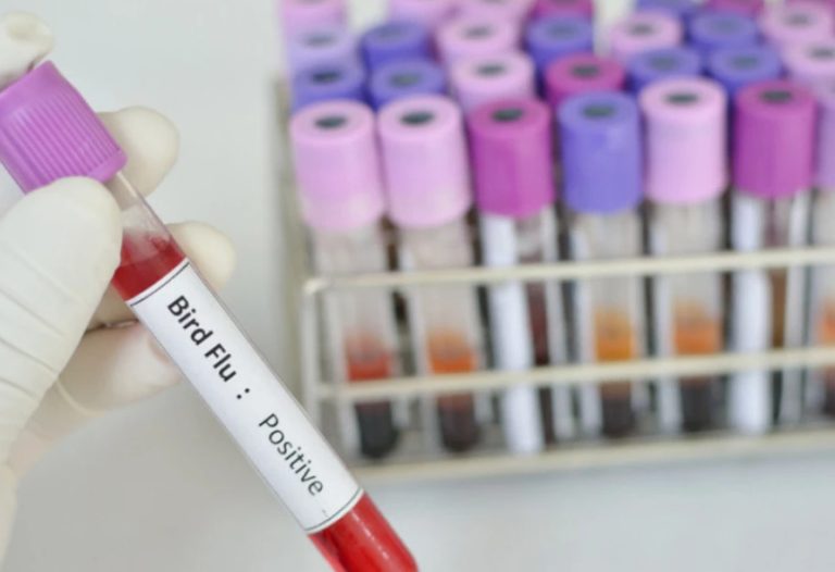 Првиот случај на птичји грип откриен на фарма во Австралија, не е истиот вид како во САД