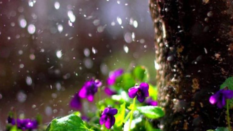 Претежно облачно и посвежо со повремени врнежи од дожд