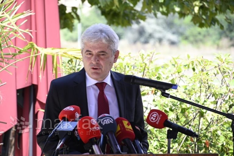 Оваа Влада која ќе остане запаметена по угнетувањето на Албанците, велат од ДУИ