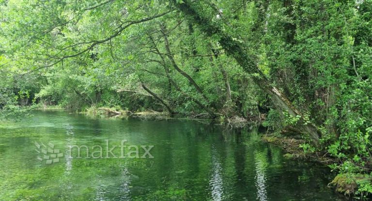 Сончево и многу топло време со температура до 40 степени
