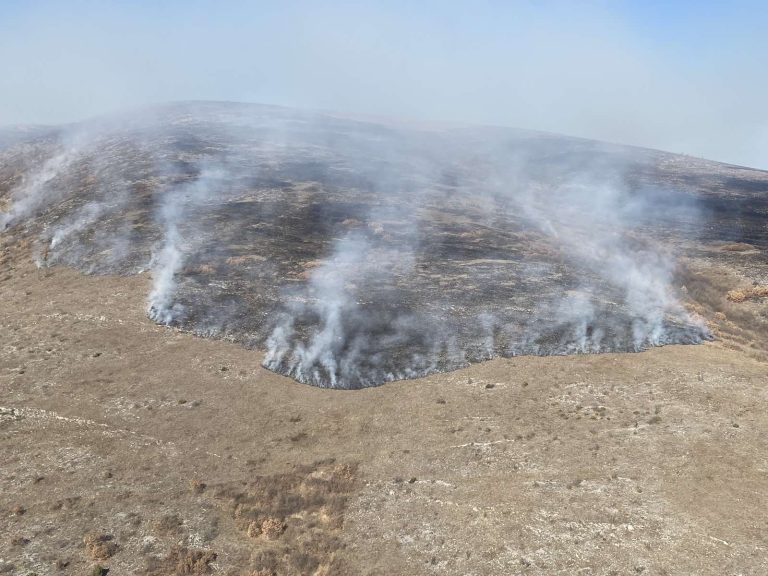 ЦУК: 15 пожари на отворено