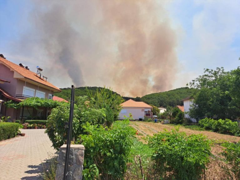 Голем пожар кај Василево, се шири кон селата Сушево и Злеово