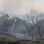 Одржан Денот за високи гости на вежбата „Блесок 26“