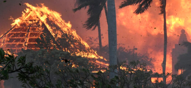 Пожар зафати населба на Хаваи, наредена итна евакуација: голем број пожарникари на терен