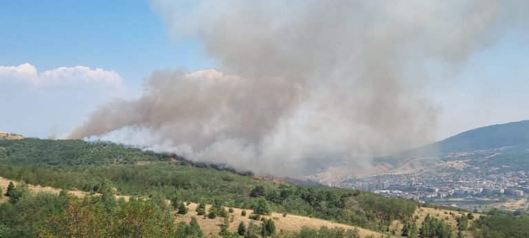 Вчера имало 29 пожари во Македонија, пет се сè уште активни