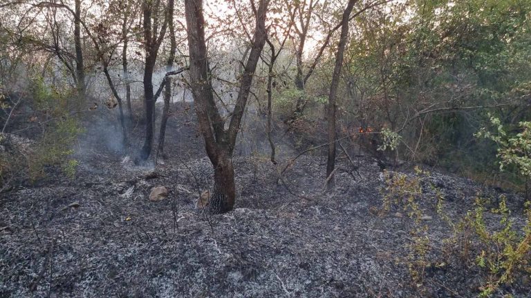 ЦУК: Активни два пожара, три се под контрола