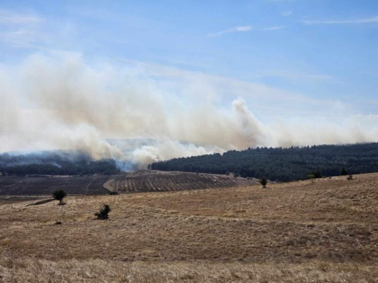 МЗШВ: Во периодот што следува граѓаните да бидат особено претпазливи со цел спречување на пожарите