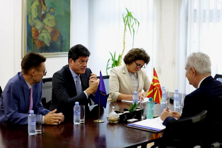 Димовски-Рокас: во фокусот предизвиците во забрзување на процесот на отворање на преговорите