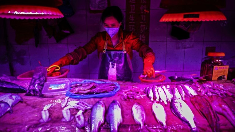 Нова студија ја потврди теоријата дека коронавирусот започна од кинески пазар