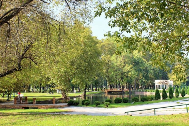 Утре во Скопје: „Нож и виљушка на европска чинија“ – целодневен гастрономско-музички настан во Паркот на Франкофонијата