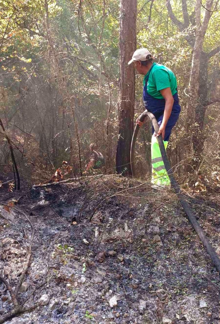 Во текот на вчерашниот ден 38 пожари на отворено, активни се уште три