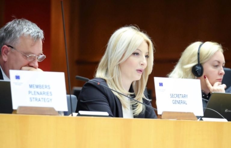 Арсовска како главни проблеми на локалната власт ги посочи политичкото мешање и ограничените финансии