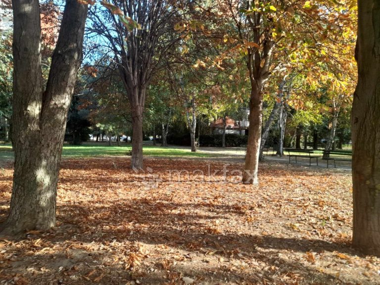 Наутро студено, преку денот сончево со умерена локална облачност