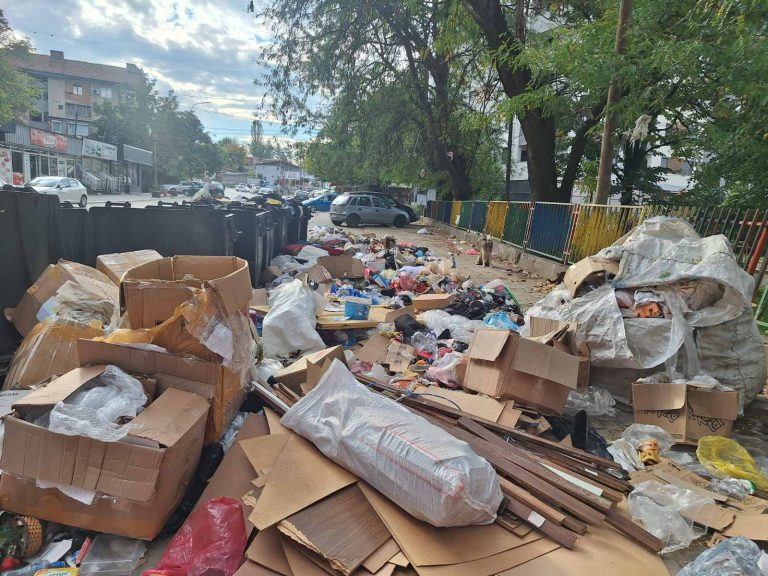 Расчистени обемни диви депонии во општините Центар, Чаир и Бутел