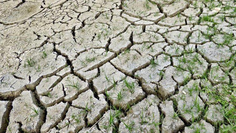 Студија: Интензитетот на екстремните временски услови се зголеми со климатските промени