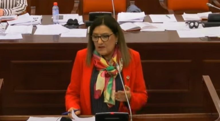 Тренчевска: СДСМ бара покачување на платите во јавниот сектор и образованието