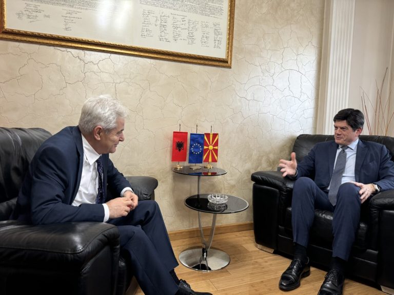 Ахмети-Рокас: Европската Унија е нашата единствена алтернатива